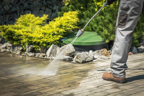 Best Pre-Holiday Cleaning  in Waimalu, HI